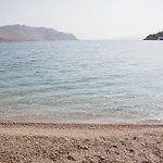 Niriides